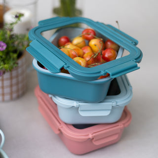 Rectangle Ceramic Glass Food Container (Pink)