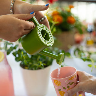 Watering Pitcher Juicer